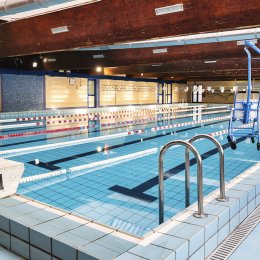 Piscina adulti