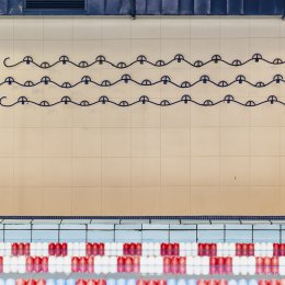 Piscina adulti