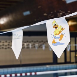 Piscina adulti