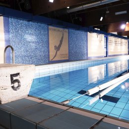 Piscina adulti